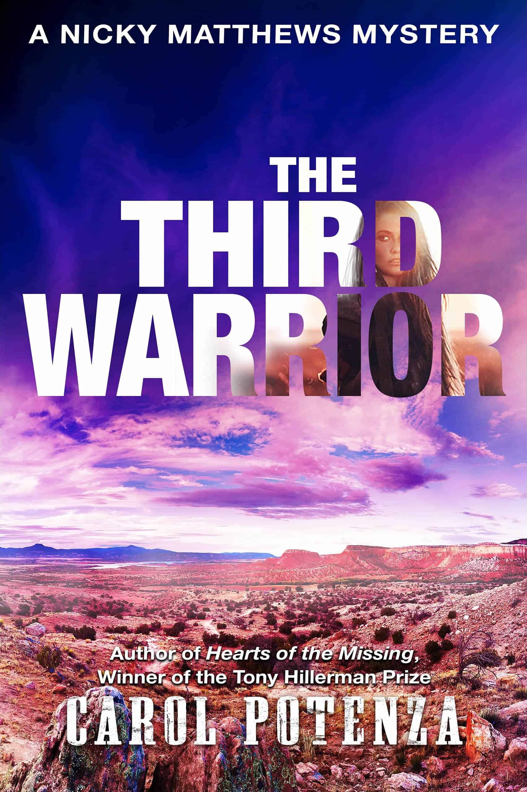Book cover for The Third Warrior